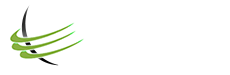Absolute Best Carpet Cleaners Corp.